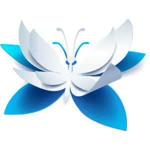 Wiki